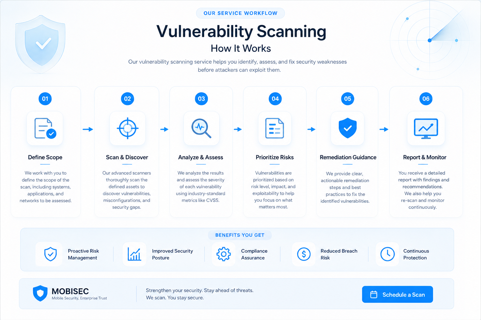 Vulnerability Discovery